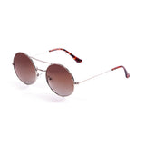 Frame shiny silver/gradient brown lens