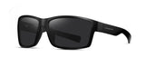 Matte black frame with smoke polarized lens