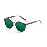 Frosted demy brown frame with green revo lens
