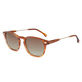 Demy brown frame with gradient brown polarized lens